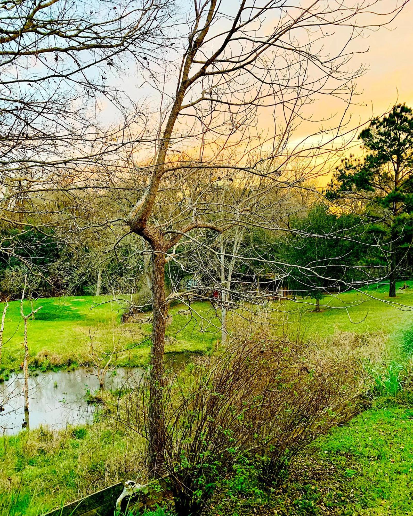 Circa 1900 - Historic - Romantic - Private - Pond - Fenced Yard - The Cottage At Chappell Hill Exterior foto